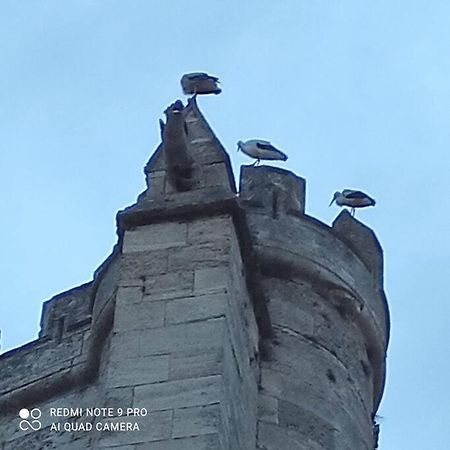 ナルボンヌLogis Corneille Iアパートメント エクステリア 写真